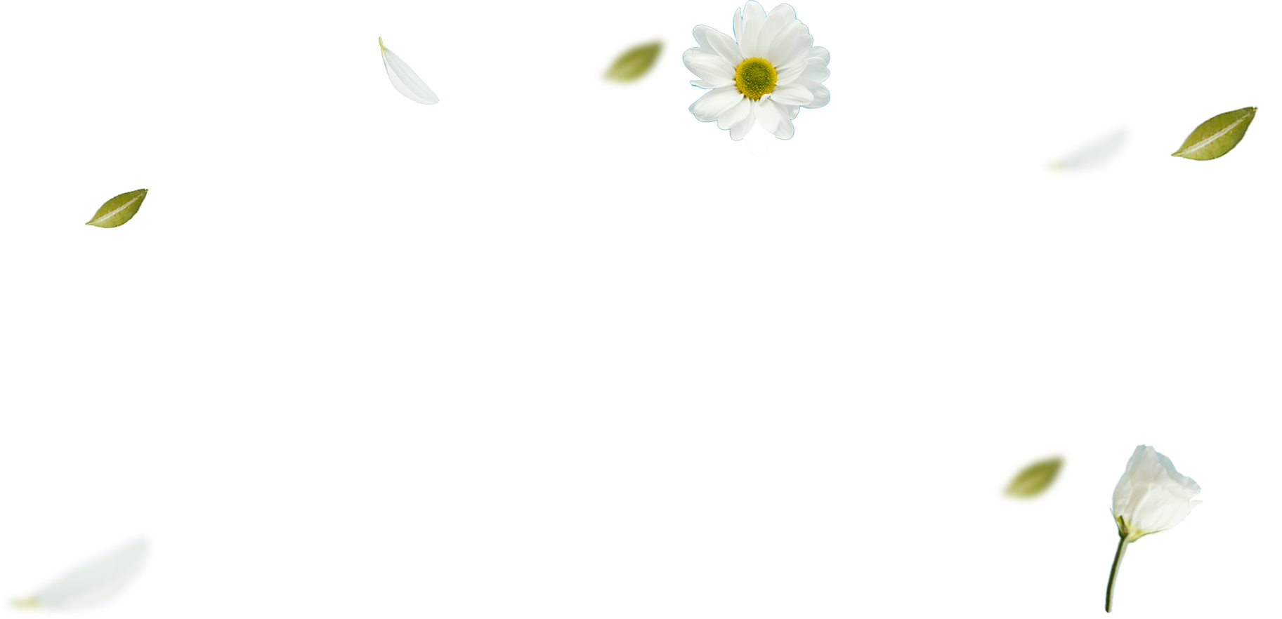 Dovera Beauty & Head Spa - Gội Đầu Dưỡng Sinh